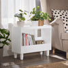 SoBuy Πίνακας 45x40x55cm FBT128-WW (αντίγραφο)
