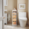SoBuy Space-saving trolley 65x23x82cm BZR54-II-WN